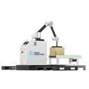 RI Collaborative palletizer 20kg payload