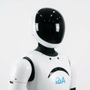 RiA A2D Humanoid Robot