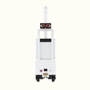 RI Disinfection Robot For Hotel