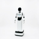 RiA A2D Humanoid Robot