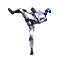 RI Humanoid