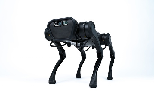 UNITREE A1 Quadruped Robot