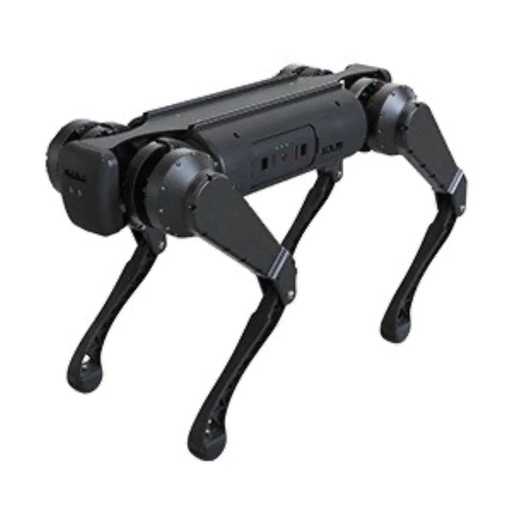 UNITREE B1 Quadruped Robot